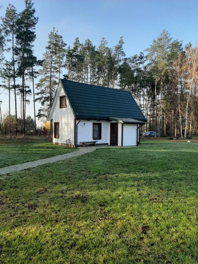 Villa Agroturystyka Zubr Siemianowka Exterior foto