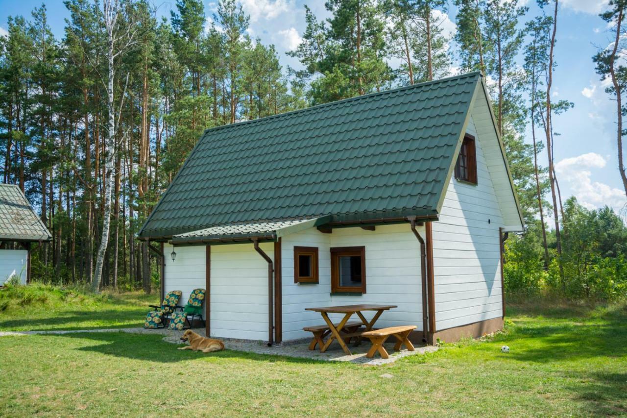 Villa Agroturystyka Zubr Siemianowka Exterior foto